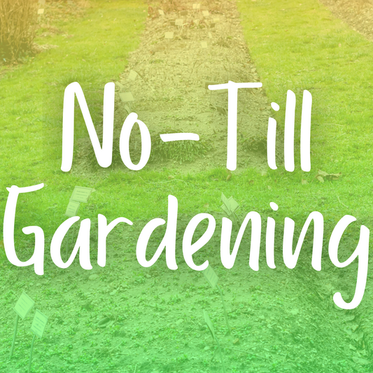 Embracing the Green Revolution: No-Till Gardening Unveiled