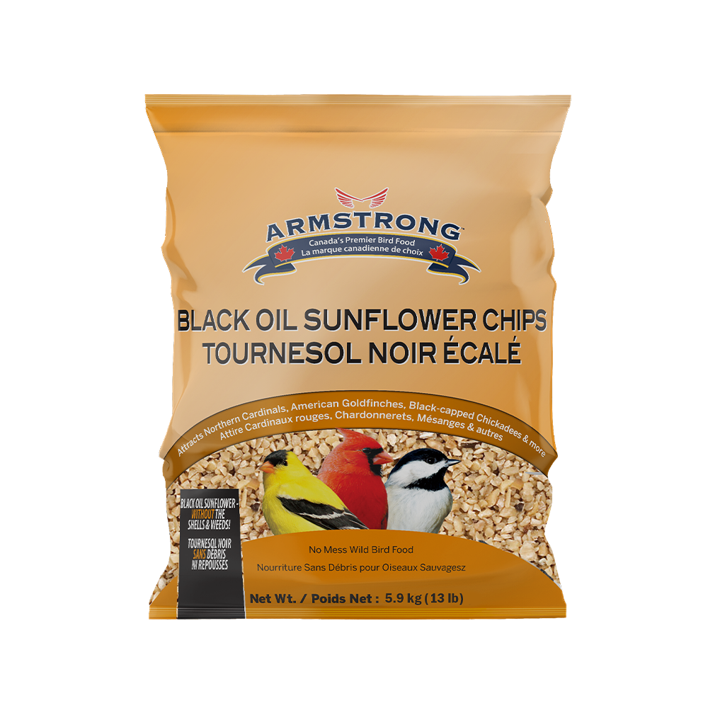 Sunflower Chips