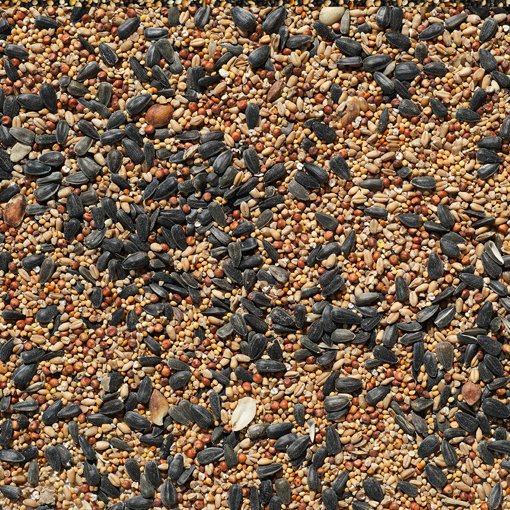 Ultra Blend Bird Seed