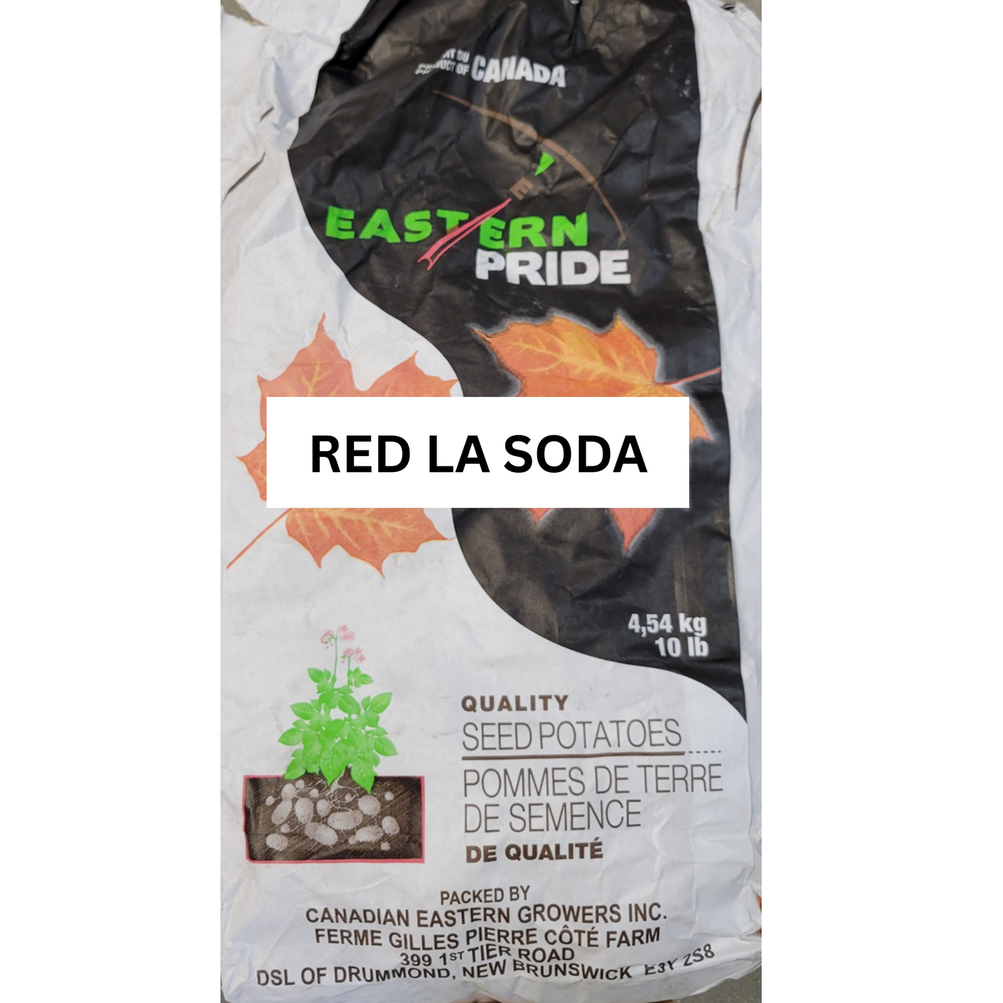 Potatoes Red La Soda