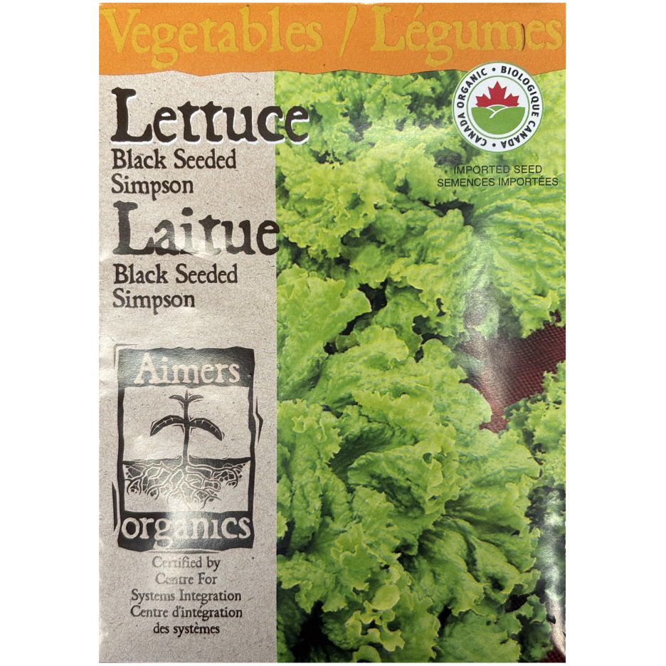 Aimers Organics Lettuce Black Seeded Simpson Pkg.