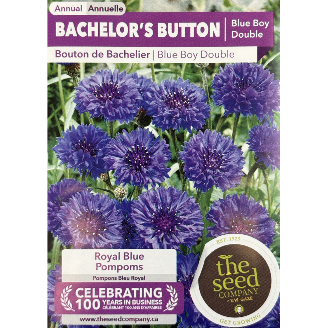 E.W. Gaze Bachelor's Button Blue Boy Double Pkg.