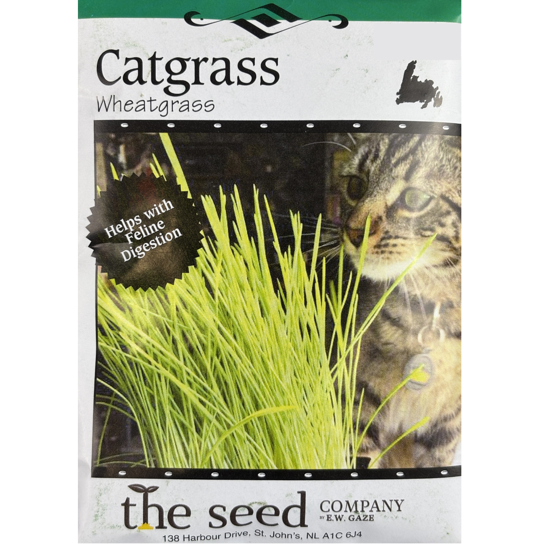 E.W. Gaze Cat Grass Wheatgrass Pkg.