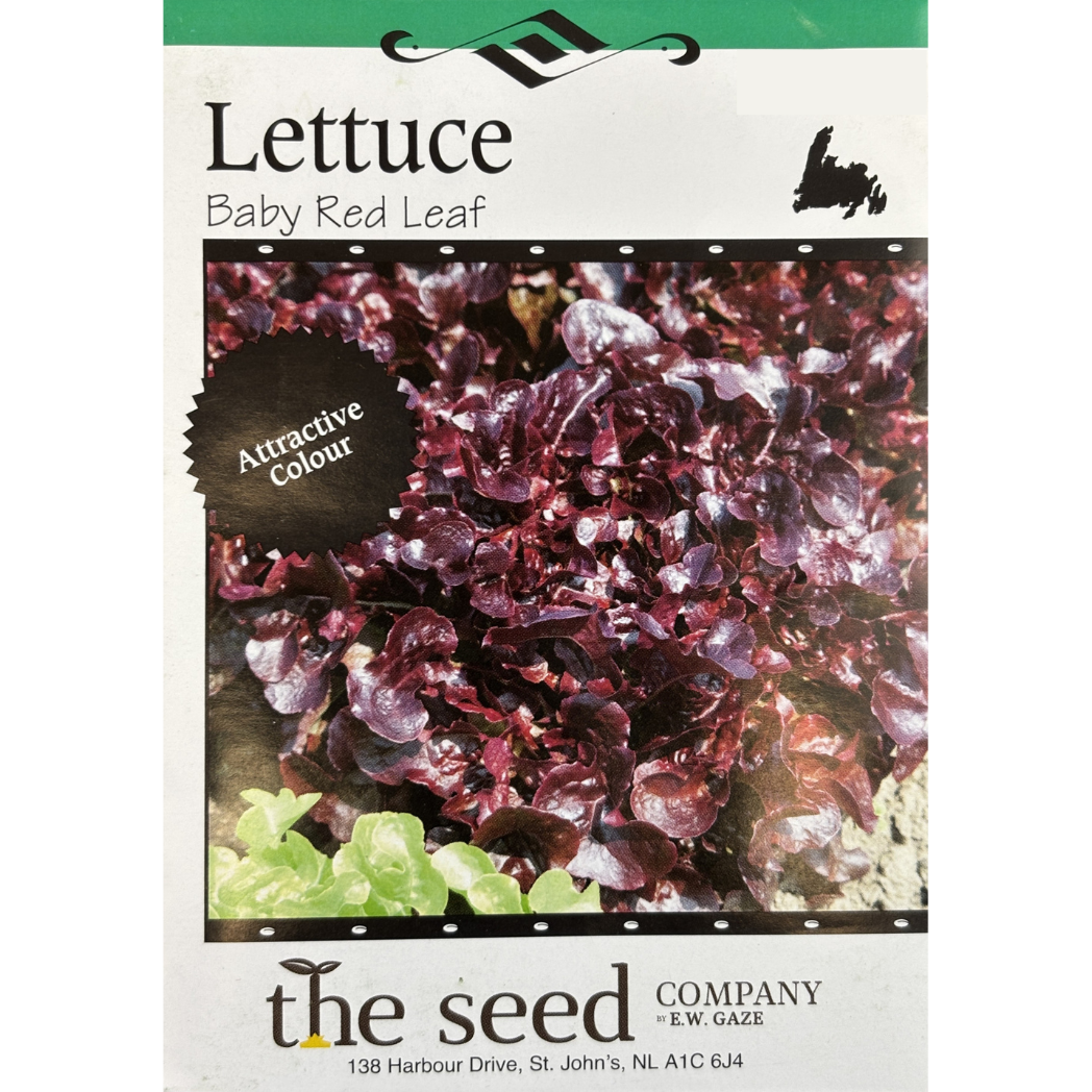 E.W. Gaze Lettuce Baby Red Leaf Pkg.