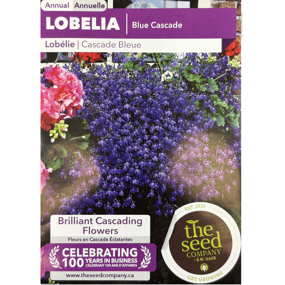 E.W. Gaze Lobelia Blue Cascade Pkg.