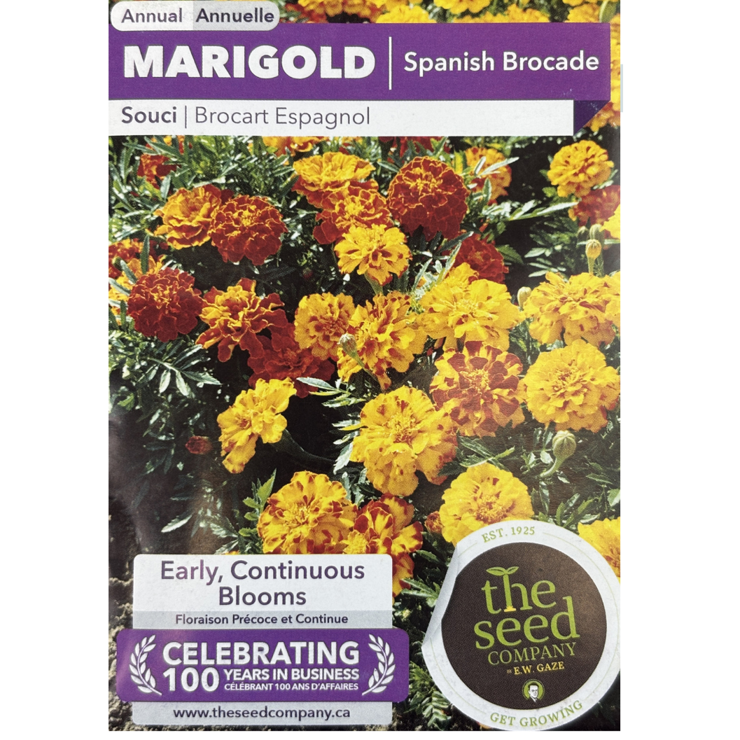 E.W. Gaze Marigold Spanish Brocade Pkg.