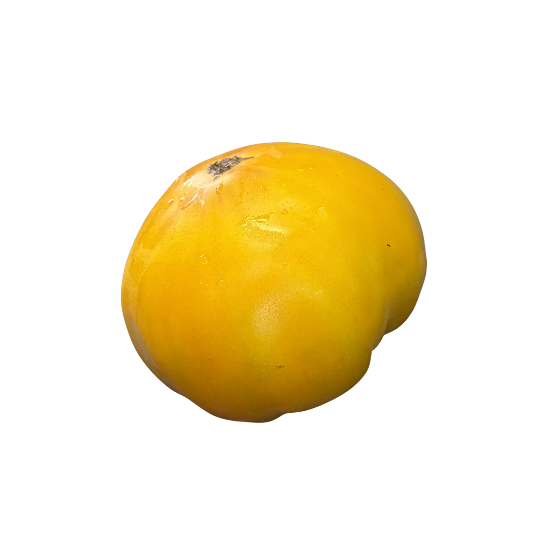 Fresh 'Tomatoes' (sold by the pound)