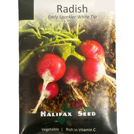 Halifax Seed Radish Early Sparkler White Tip Pkg.