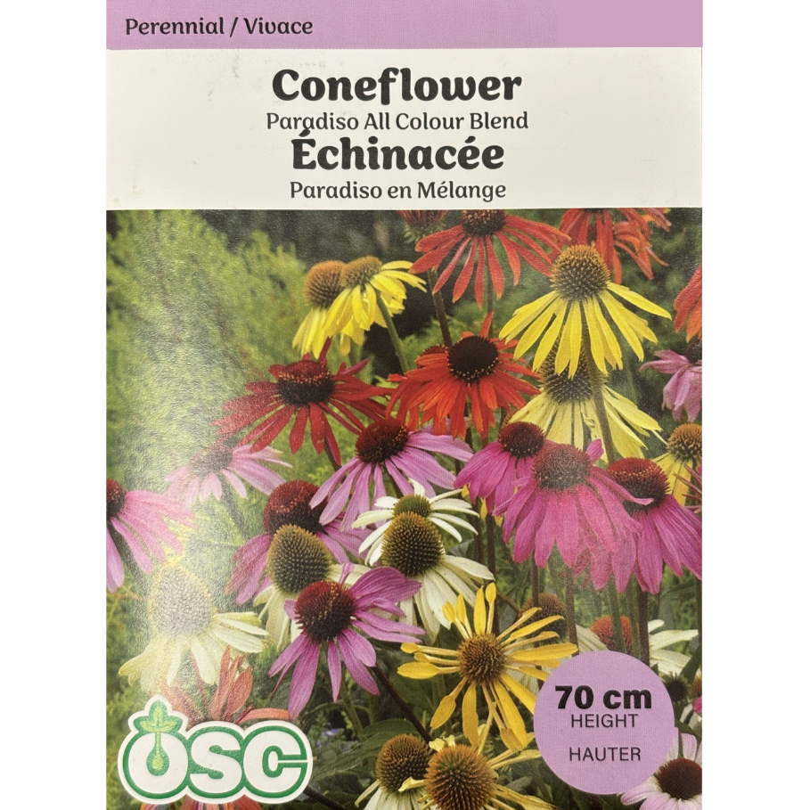 OSC Seeds Coneflower Paradiso All Colour Pkg.