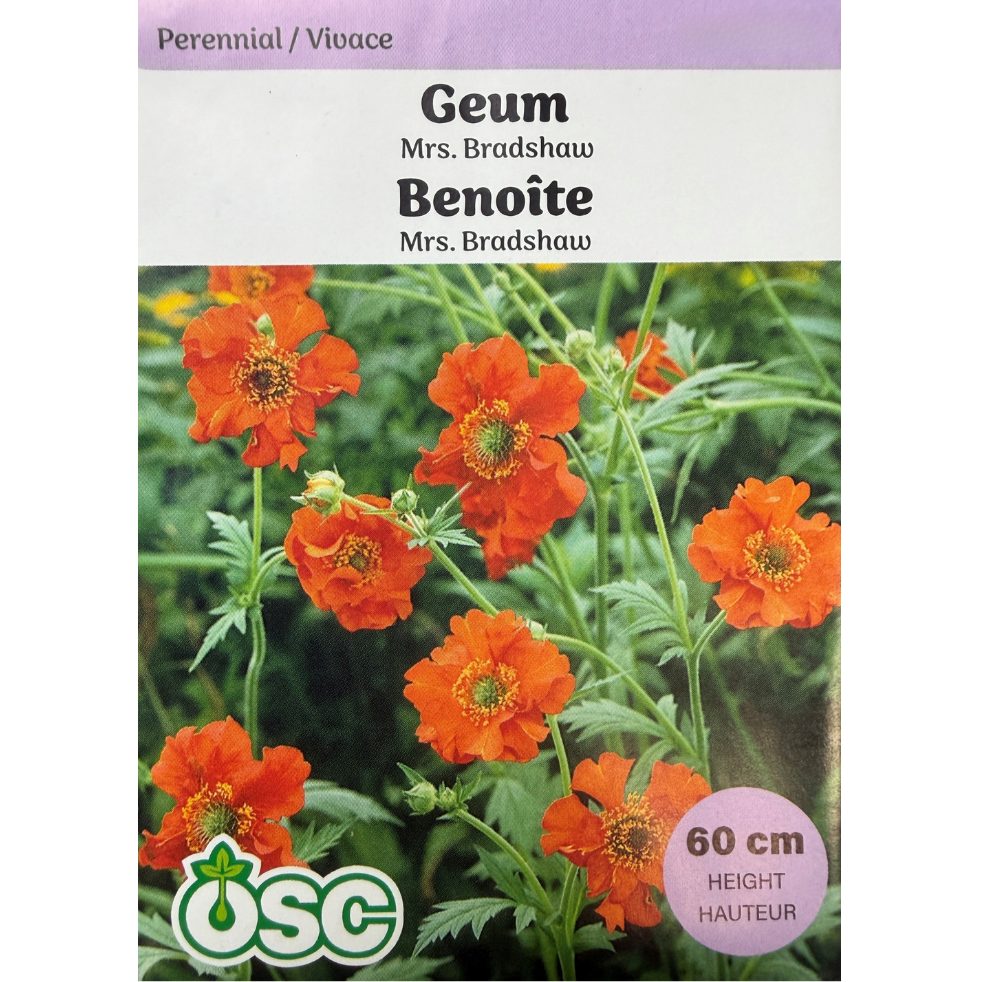 OSC Seeds Geum Mrs. Bradshaw Pkg.