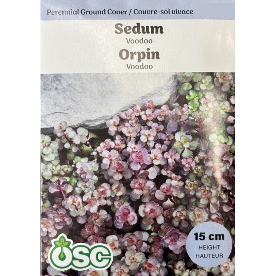 OSC Seeds Sedum Voodoo Pkg.
