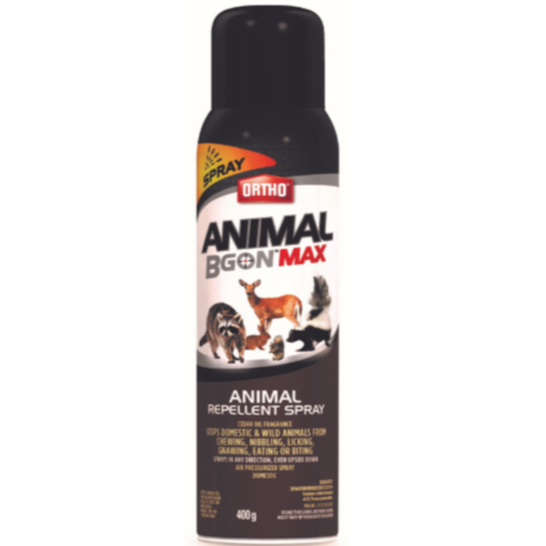 Ortho Animal B Gon Aerosol Max 400g