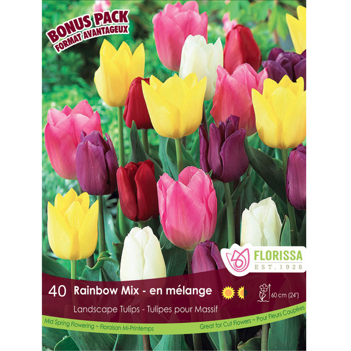 Tulip 'Rainbow Mix' Landscape 40/Mesh Bag
