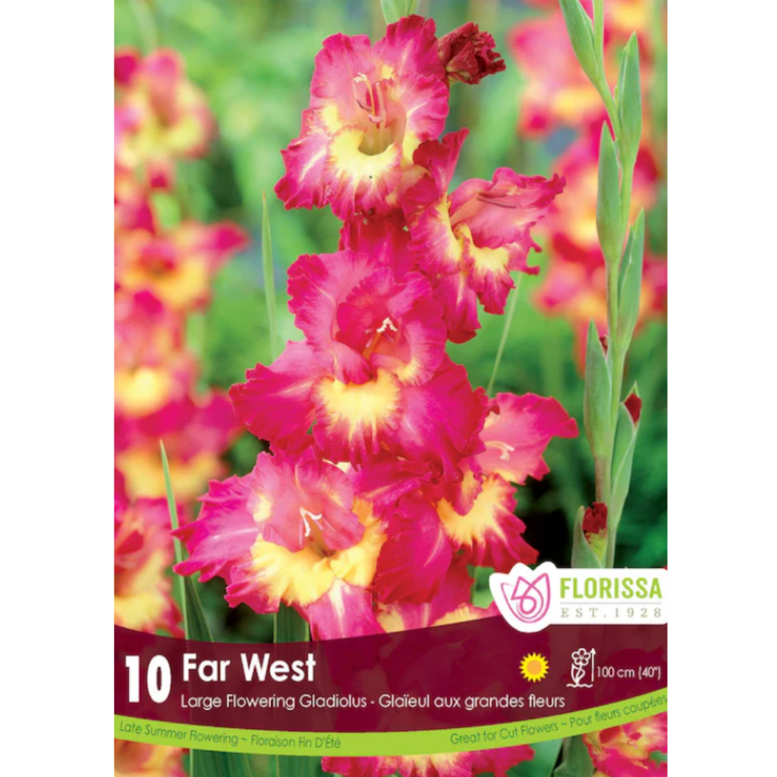 Bulbs Gladiolus Far West 8/Pkg.