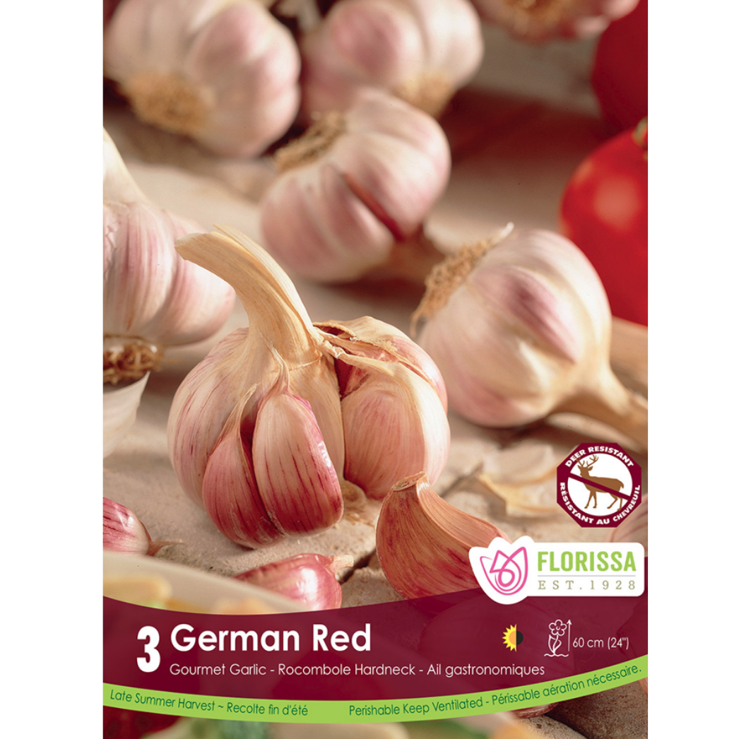 Garlic 'German Red' Rocambole Hardneck 3/Pkg.