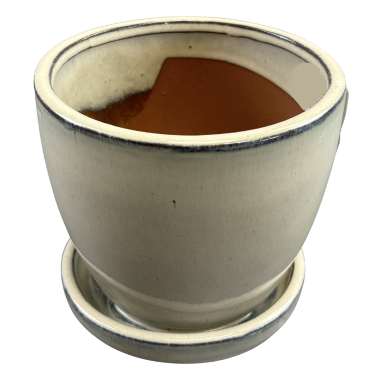 Egg Pot Ceramic w/Saucer