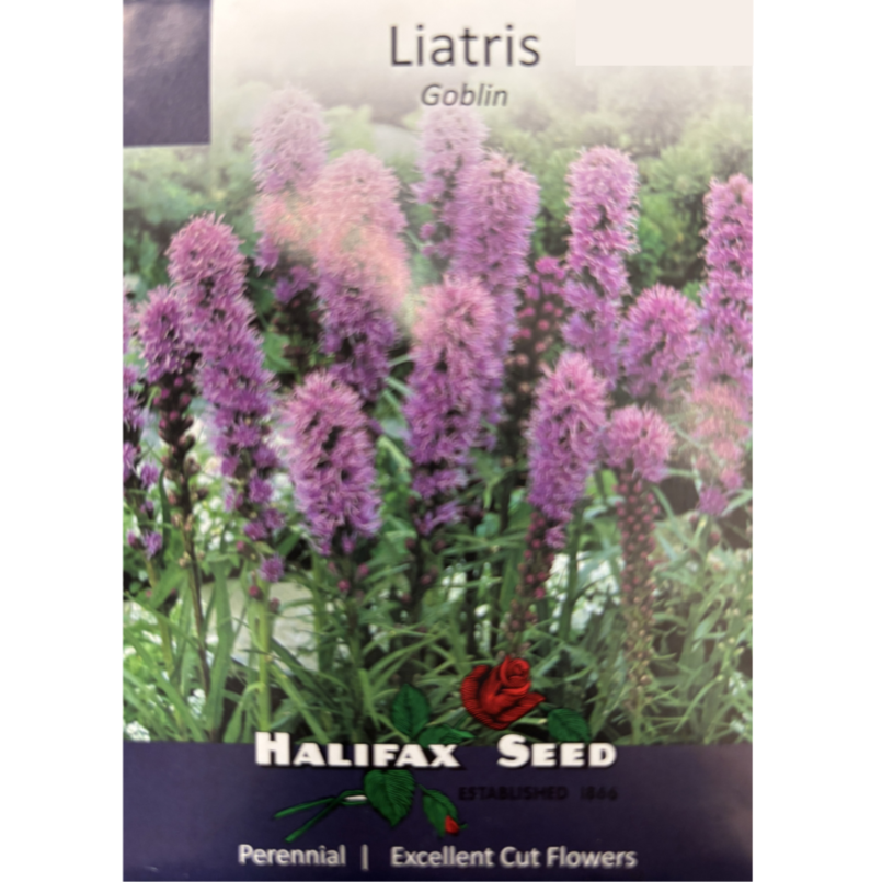 Halifax Seed Liatris Goblin Pkg.