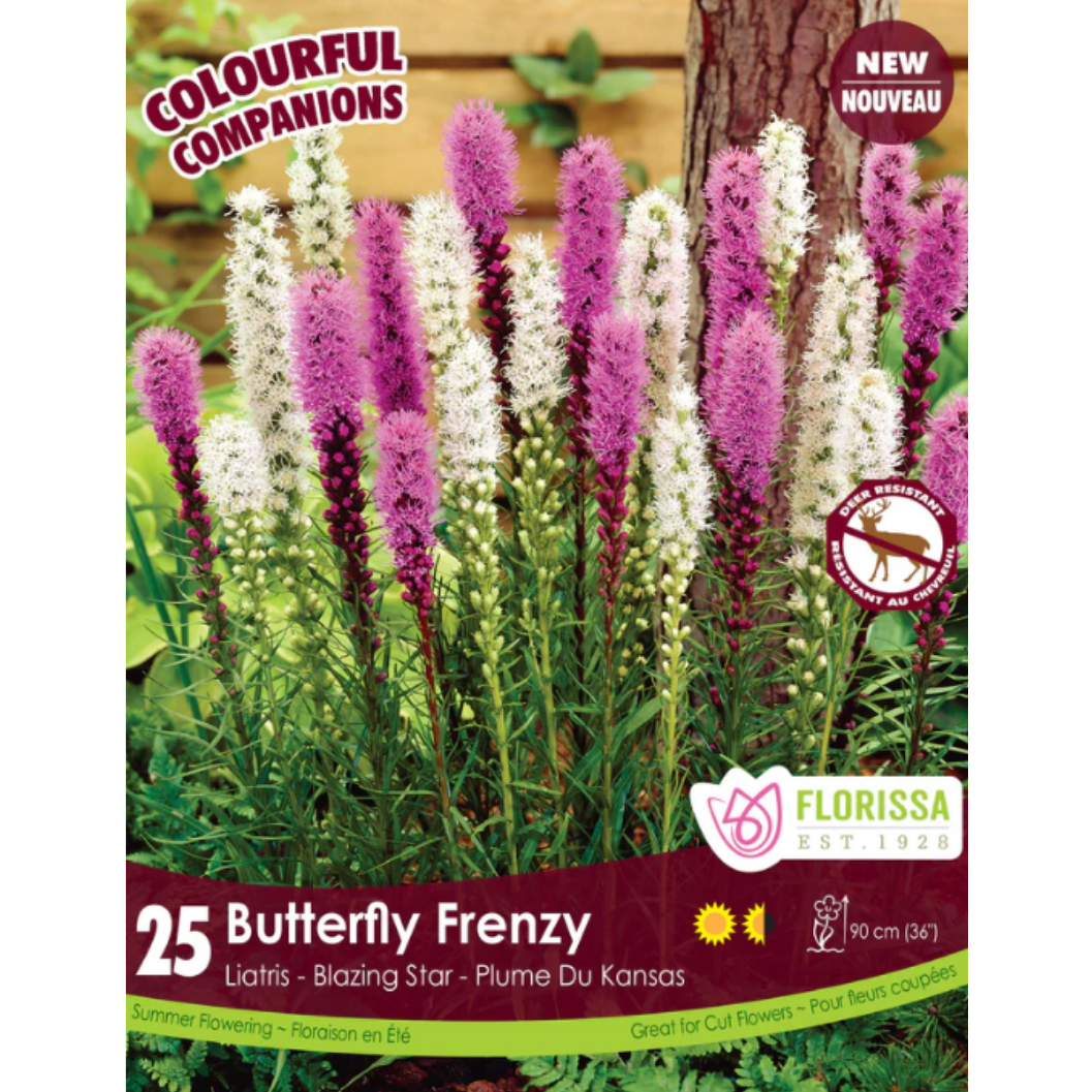 Bulbs Colourful Companions Liatris Butterfly Frenzy 25/Pkg.