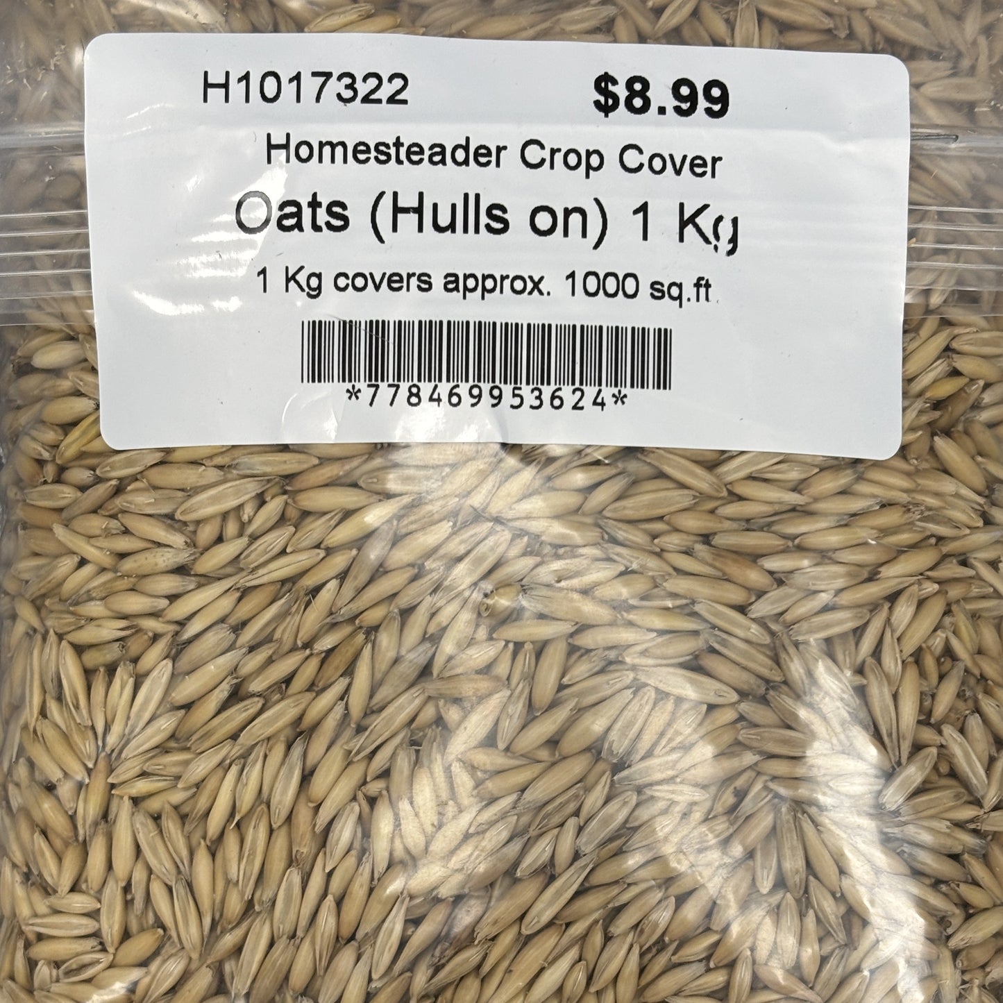 Cover Crop Oats Hull's On Homesteader