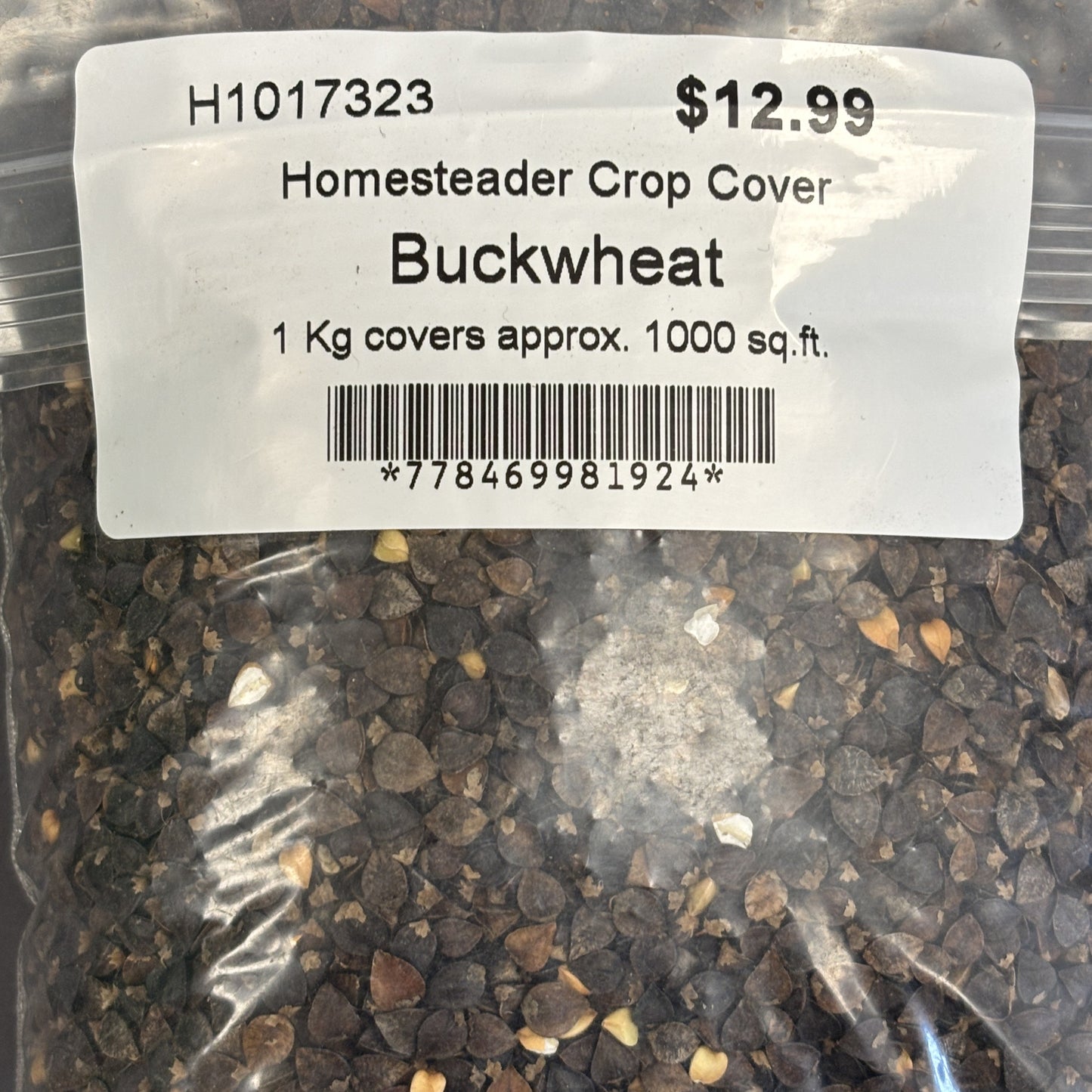 Cover Crop Buckwheat Homesteader