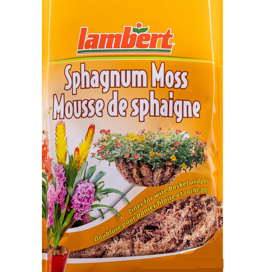 Lambert Sphagnum Moss
