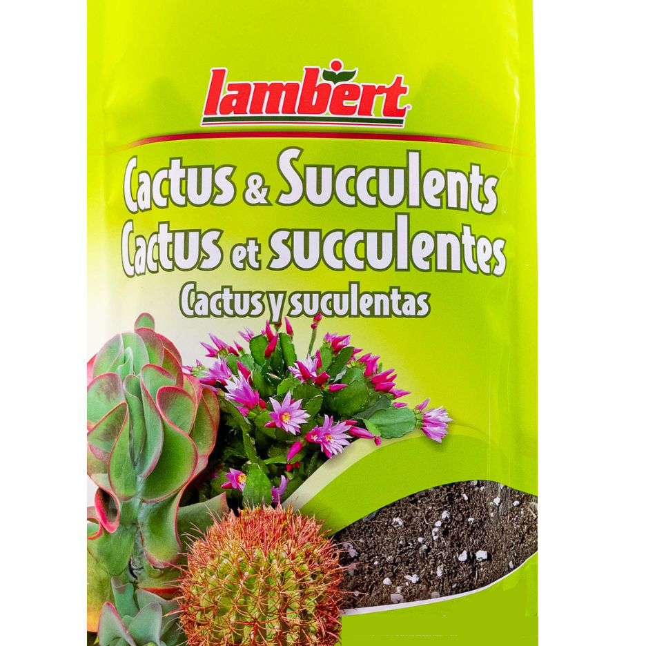 Lambert Cactus and Succulent Mix