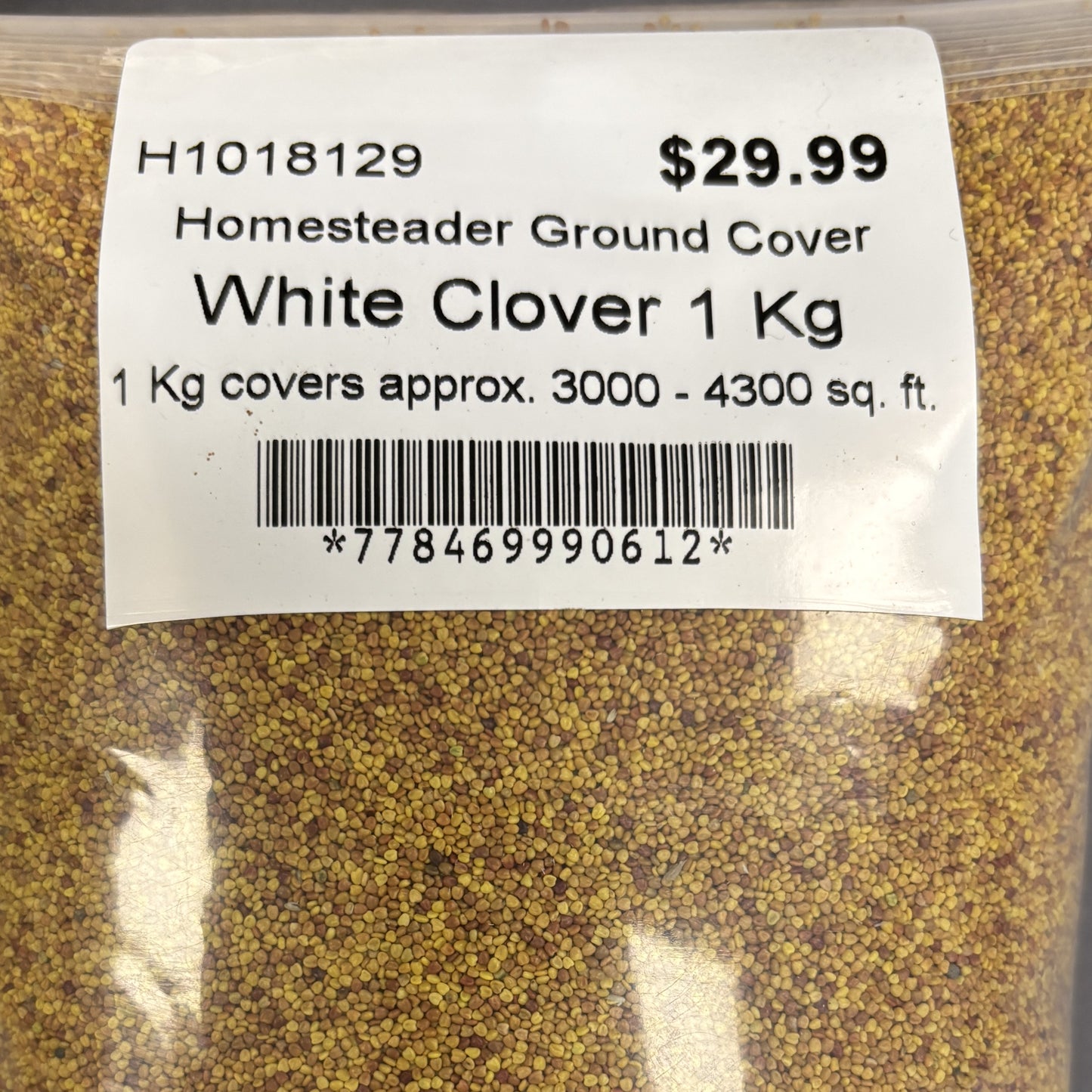 Cover Crop White Clover Homesteader