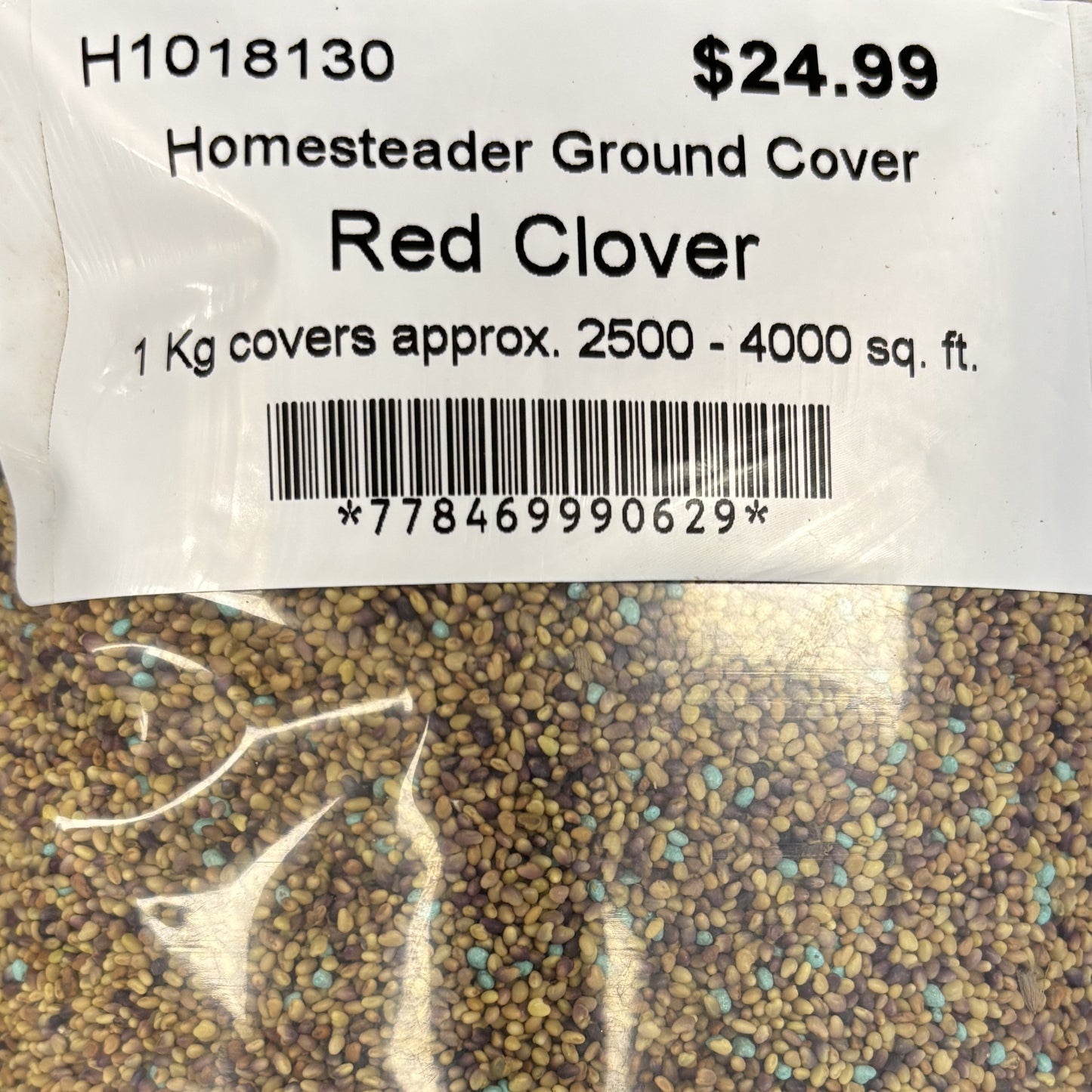 Cover Crop Red Clover Homesteader