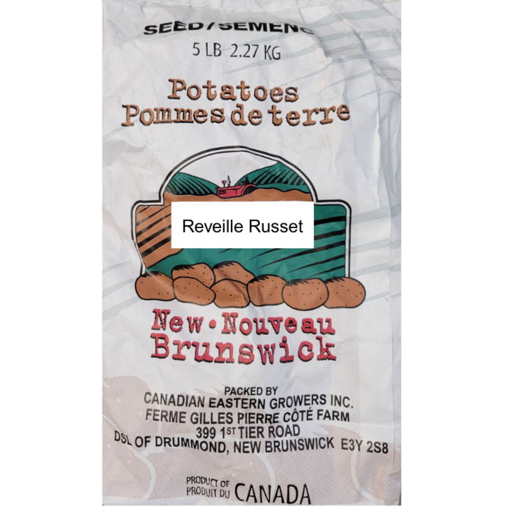 Potatoes Reveille Russet Seed