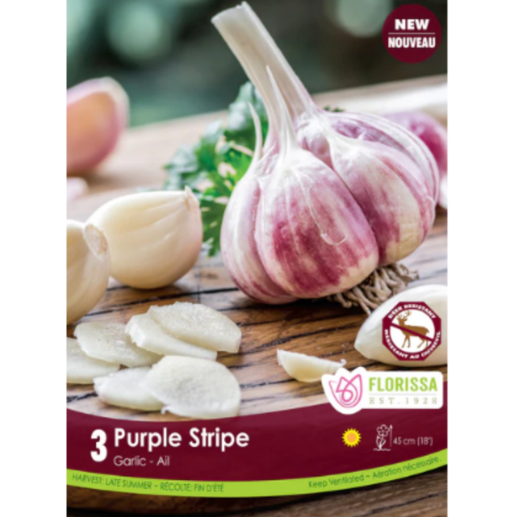 Bulbs Garlic Purple Stripe 3/Pkg.