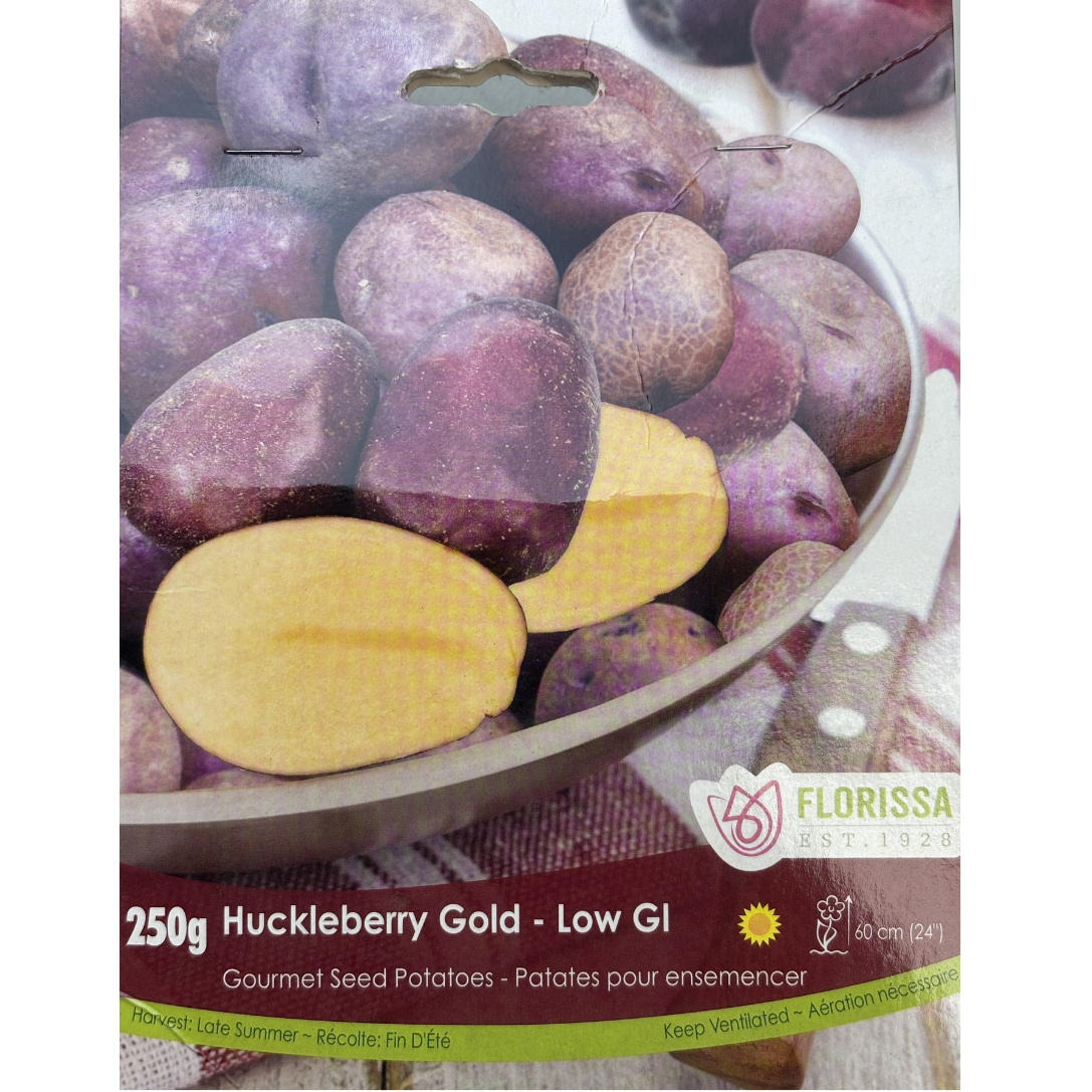 Seed Potato Huckleberry Gold Gourmet 250g