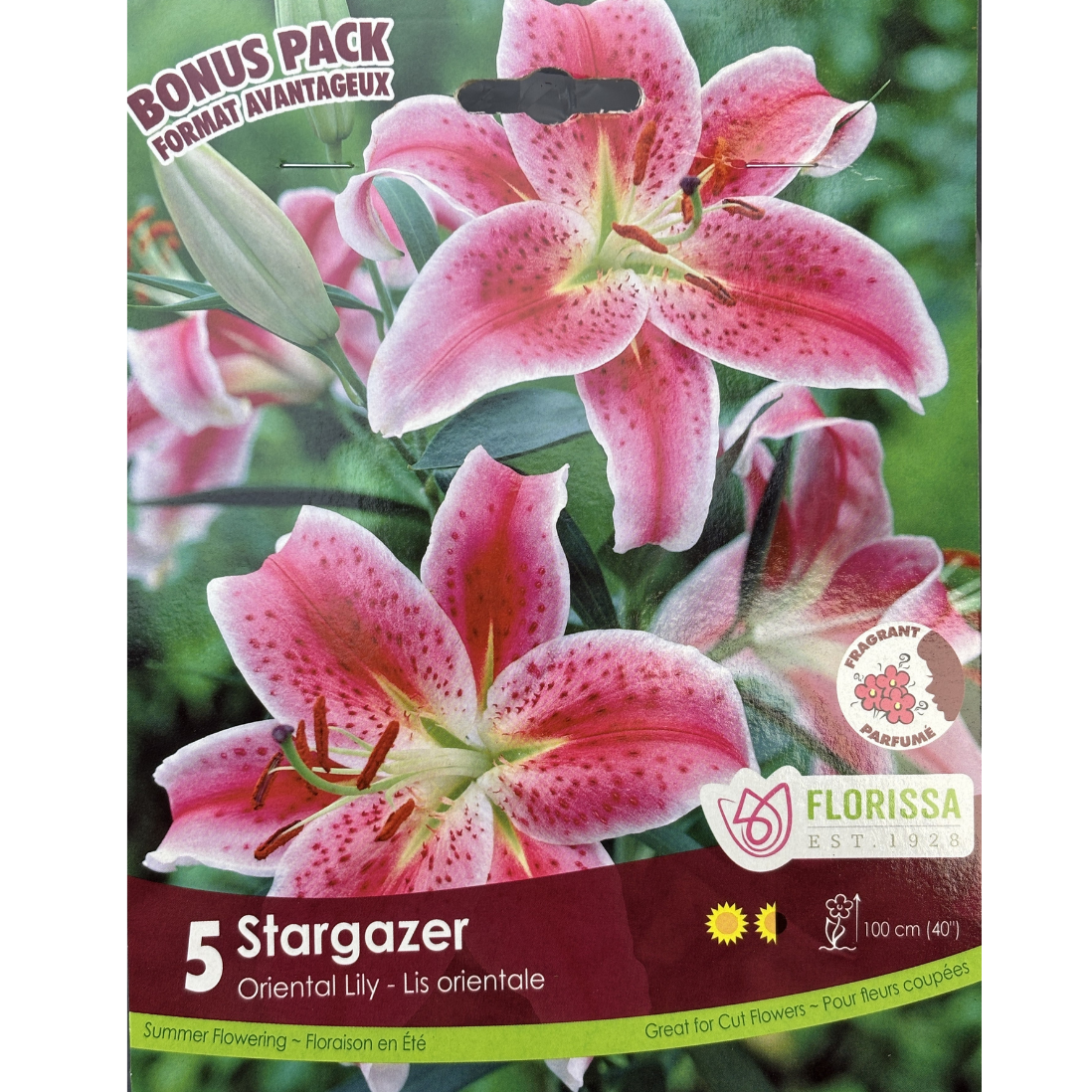 Bulbs Lily Oriental Stargazer