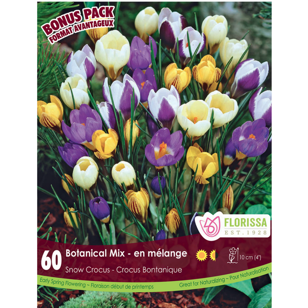 Crocus 'Botanical Mix' Snow 60/Pkg.