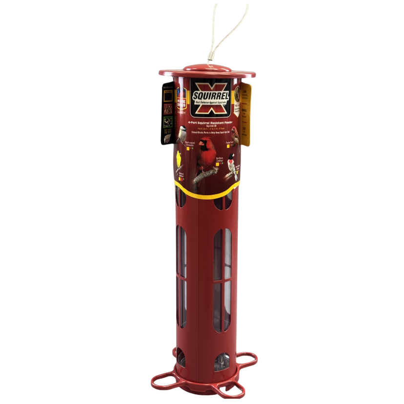 Bird Feeder Squirrel Resistant X8