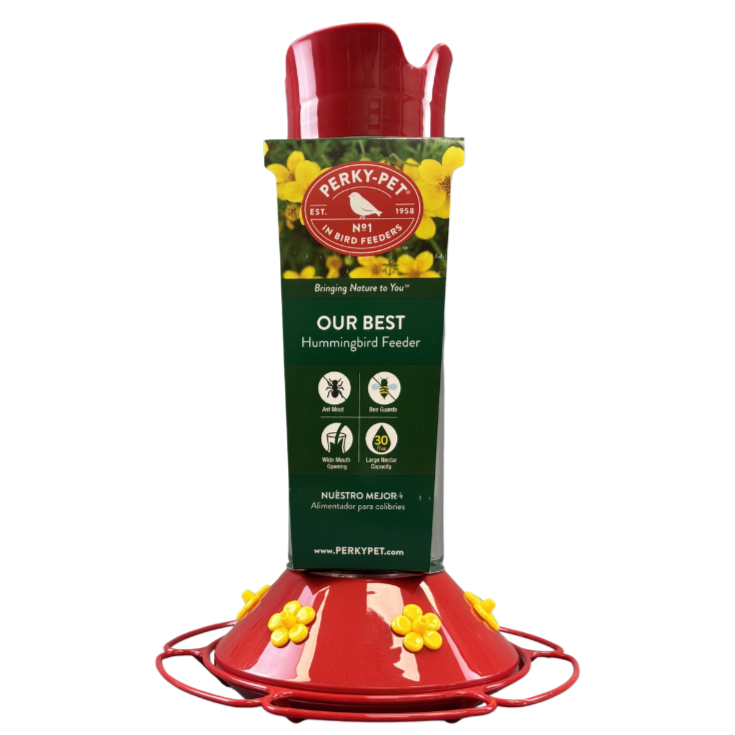 Hummingbird Feeder Glass Perky-Pet