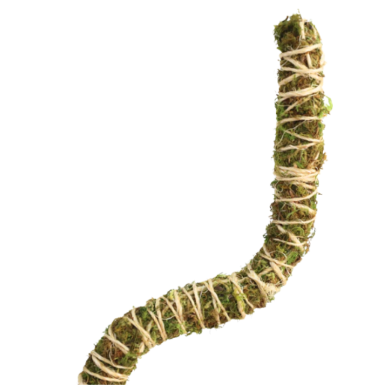 Mossify Bendable Moss Pole Thin 3 Packs