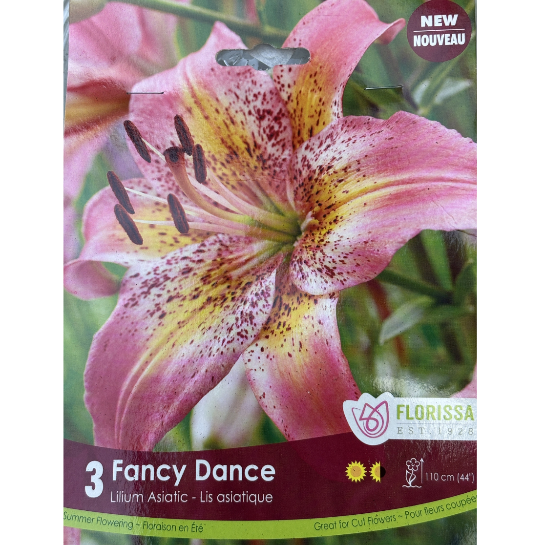 Bulbs Lily Fancy Dance 3/Pkg.