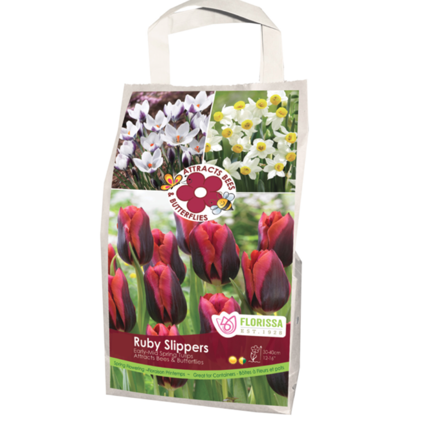 Pollinator Tulip 'Ruby Slippers' Mix 28/Bag