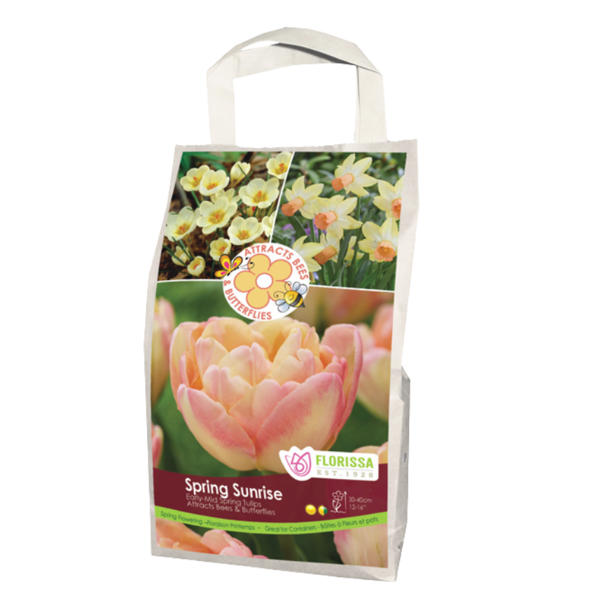 Pollinator 'Spring Sunrise' Mix 24/Bag