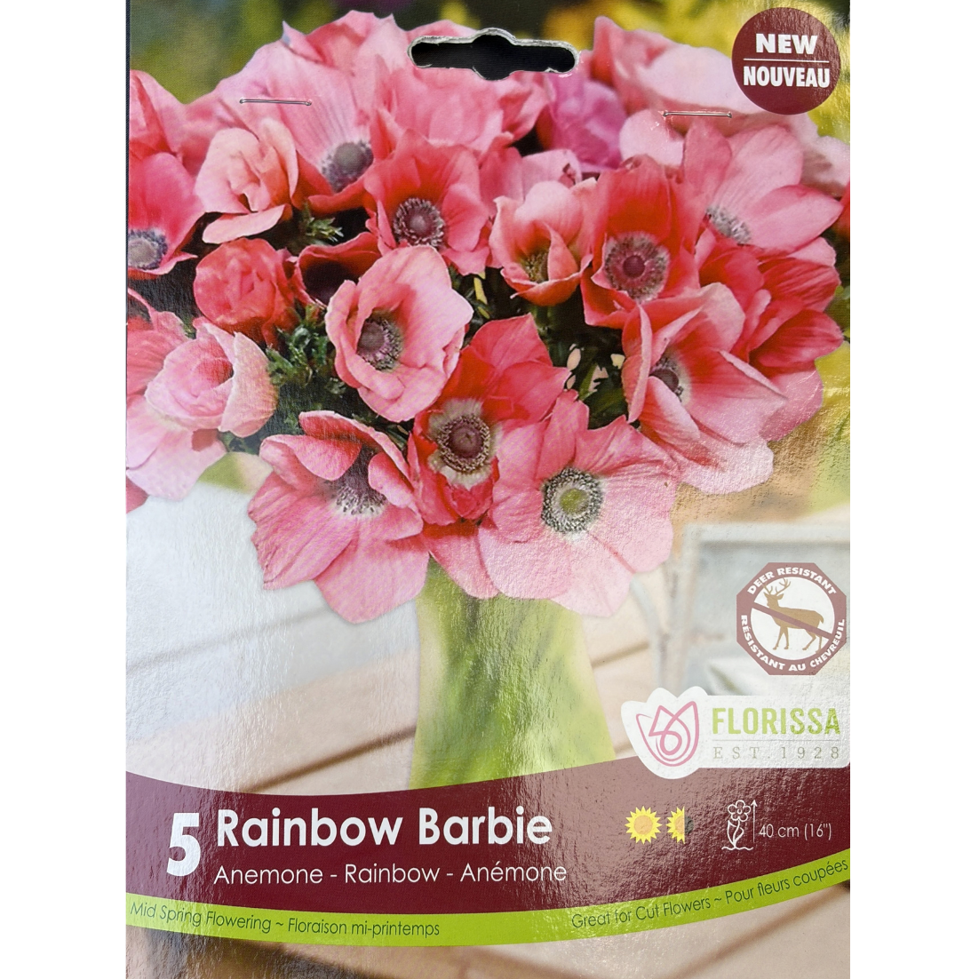 Anemone Rainbow Barbie 5/Pkg.