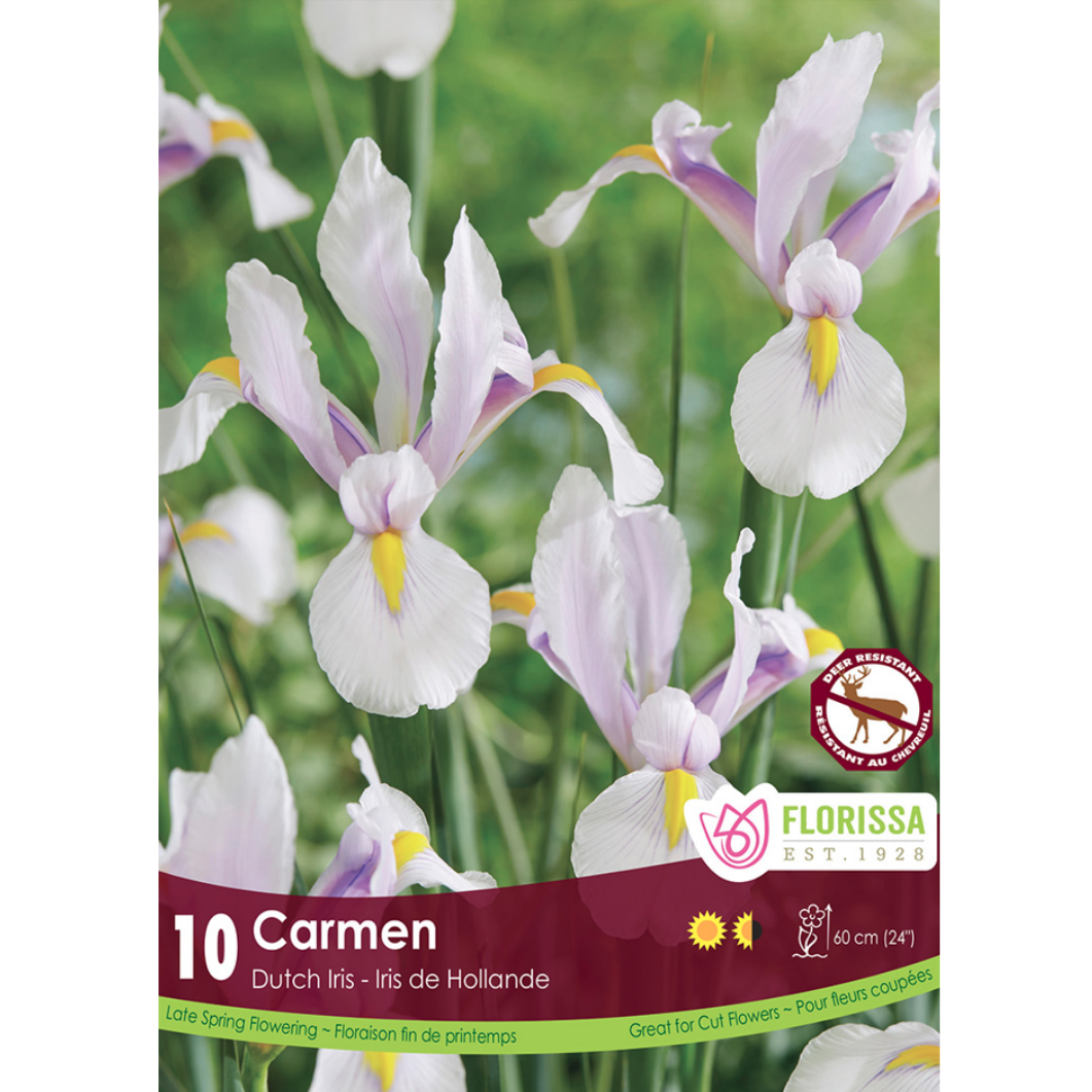 Iris Carmen 10/Pkg.