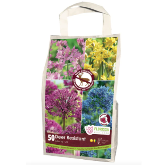Allium 'Deer Resistant' Mix 50/Pkg.