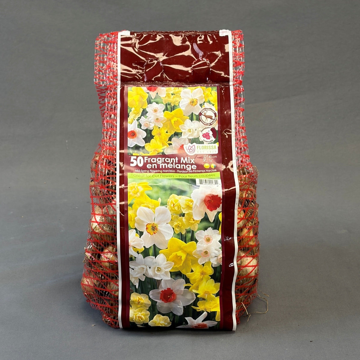 Narcissus 'Fragrant Mix' 50/Pkg.