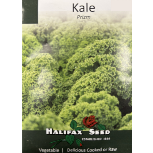 Halifax Seed Kale Prizm Pkg.