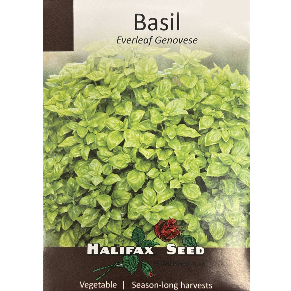 Halifax Herb Basil Everleaf Genovese Pkg.