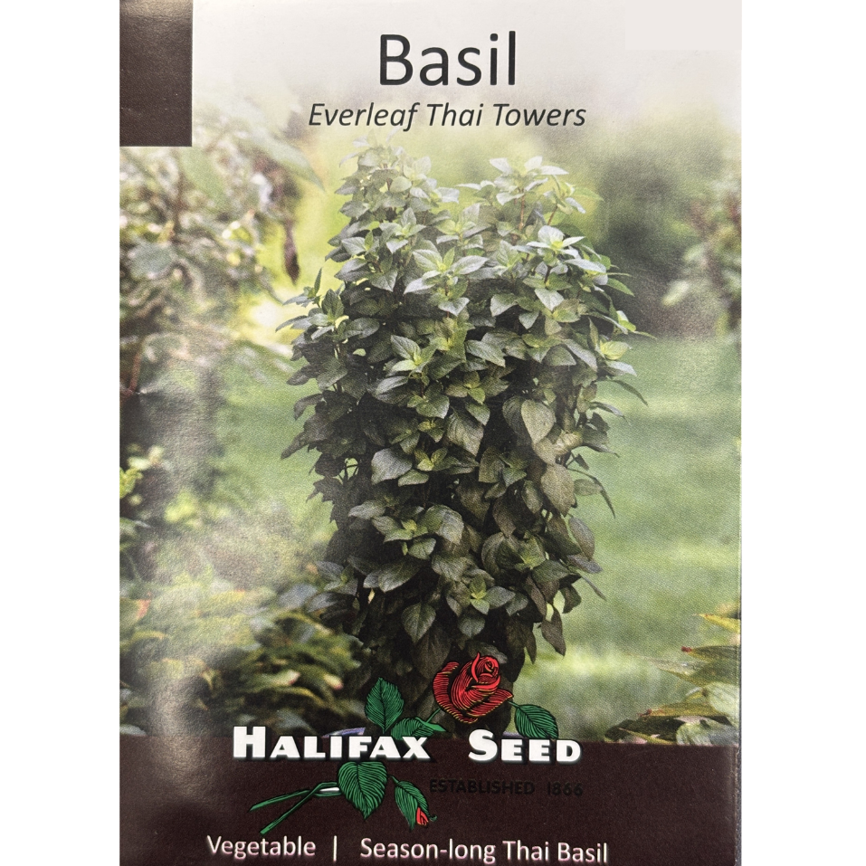 Halifax Herb Basil Everleaf Thai Towers