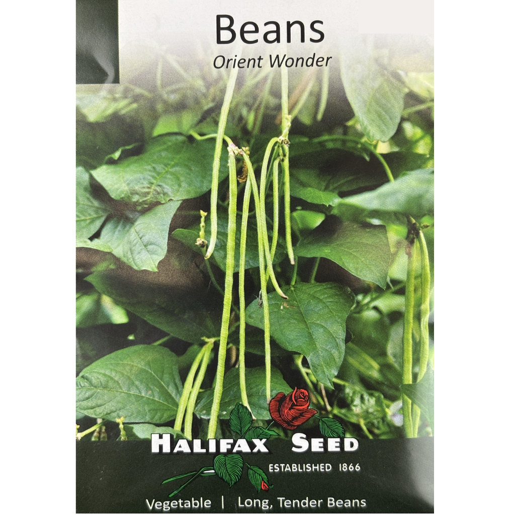 Halifax Seed Bean Orient Wonder Pkg.