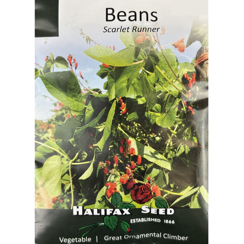 Halifax Seed Bean Scarlet Runner Pkg.