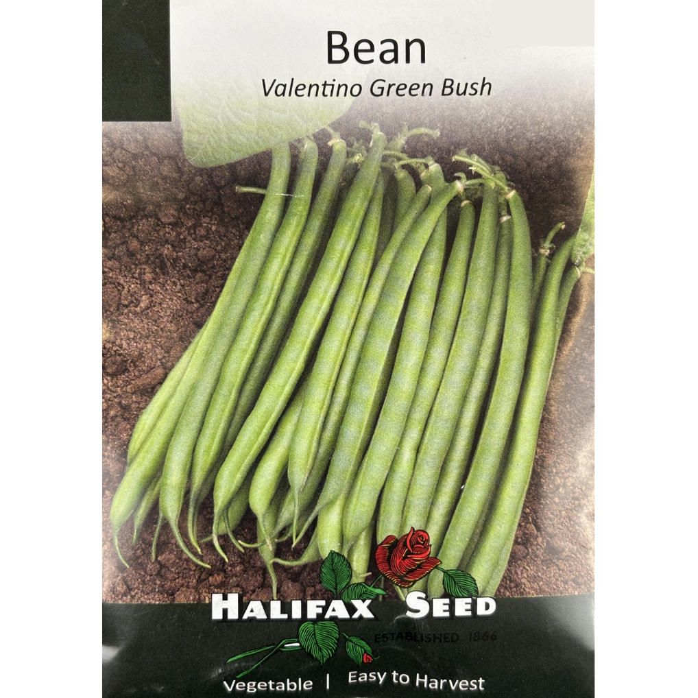Halifax Seed Bean Valentino Green Bush Pkg.