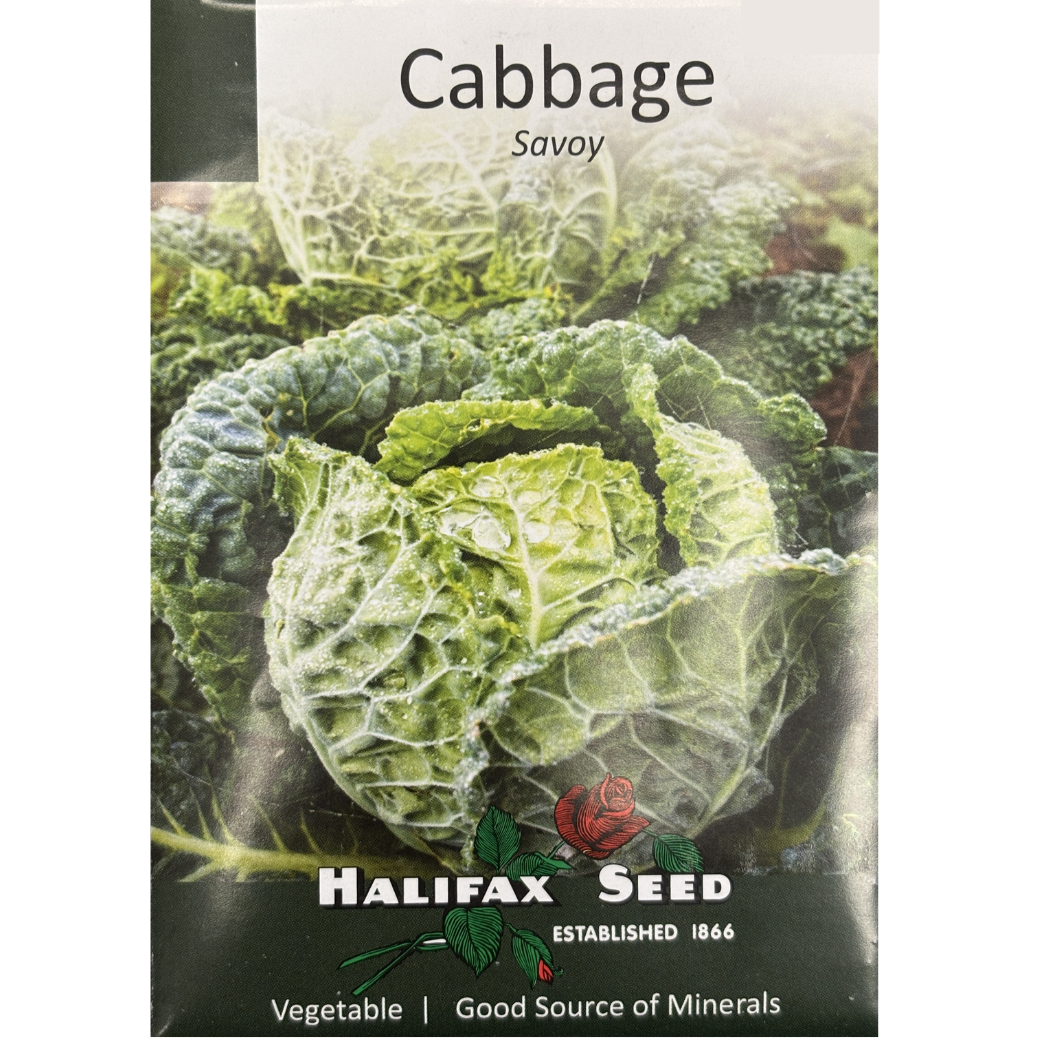 Halifax Seed Cabbage Savoy Pkg.